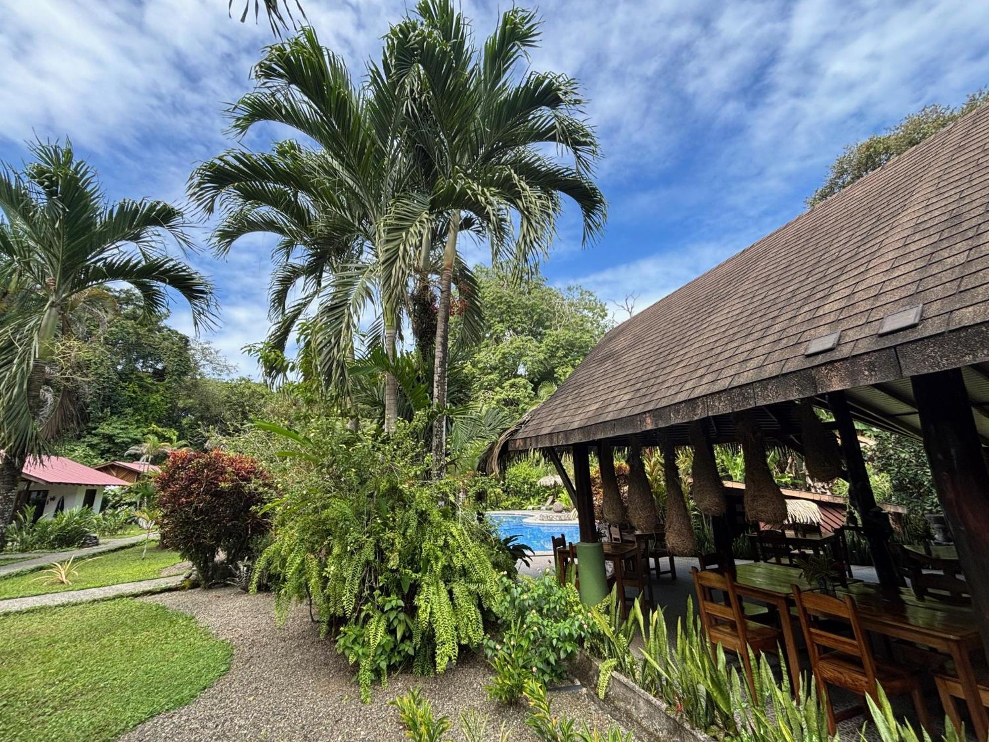 Hotel Suizo Loco Lodge & Resort Cahuita Zewnętrze zdjęcie