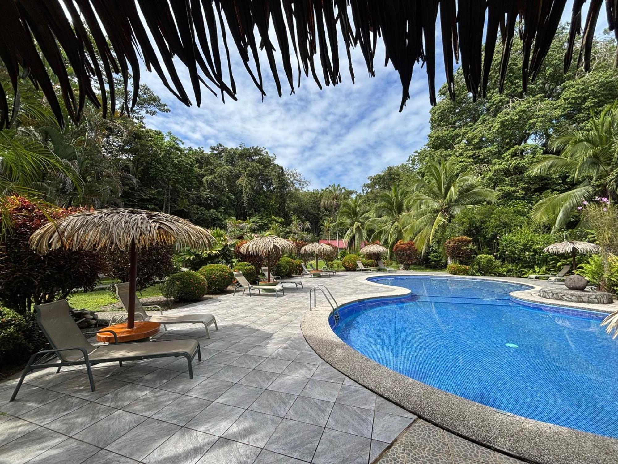 Hotel Suizo Loco Lodge & Resort Cahuita Zewnętrze zdjęcie