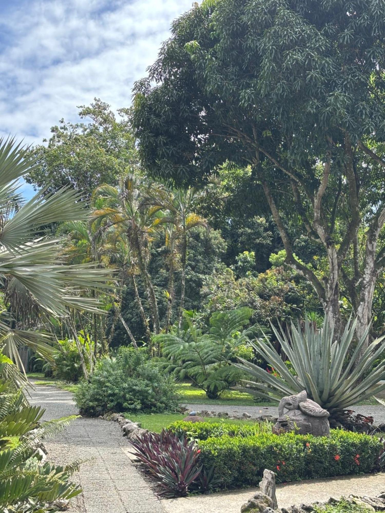 Hotel Suizo Loco Lodge & Resort Cahuita Zewnętrze zdjęcie