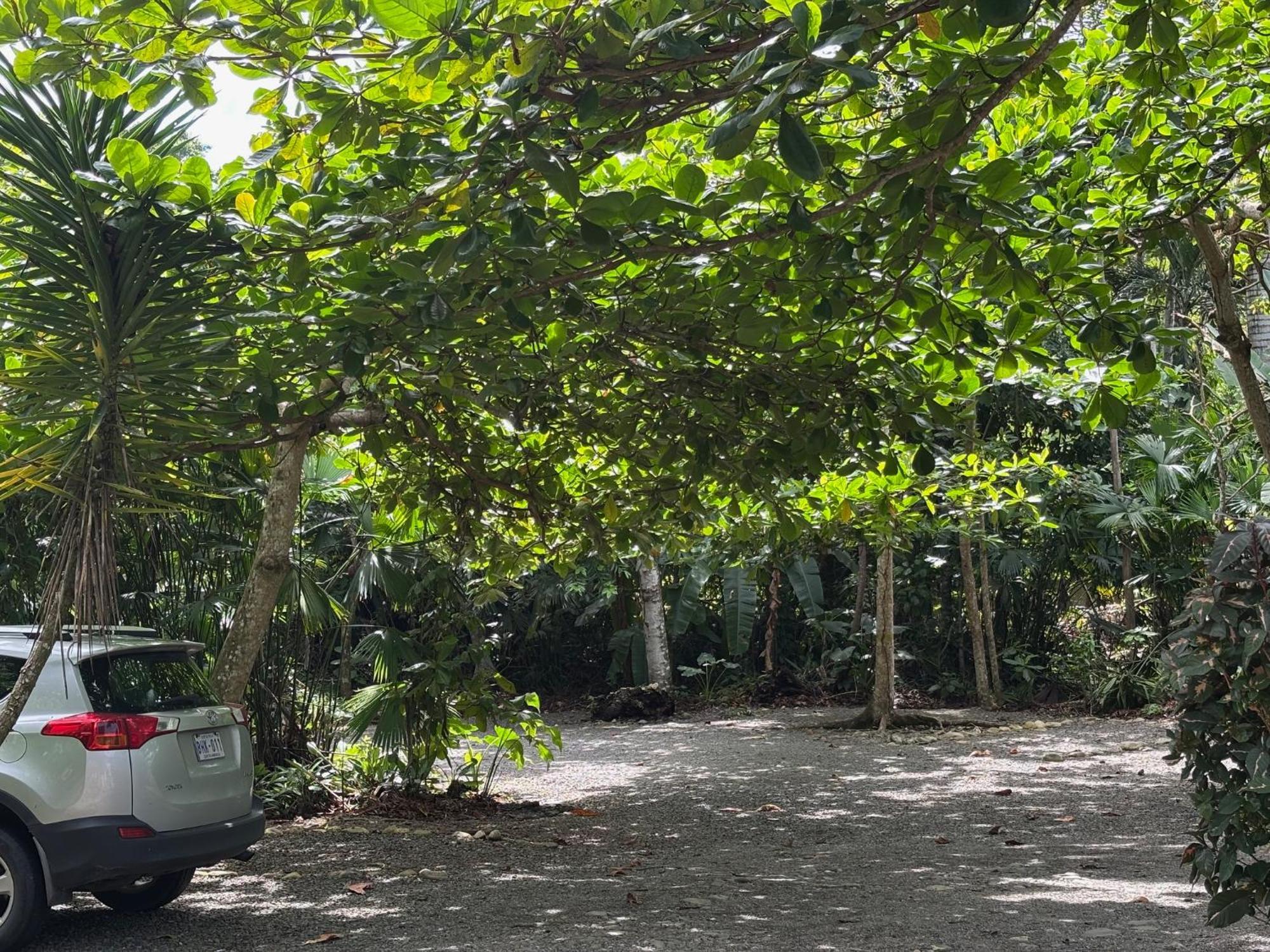 Hotel Suizo Loco Lodge & Resort Cahuita Zewnętrze zdjęcie