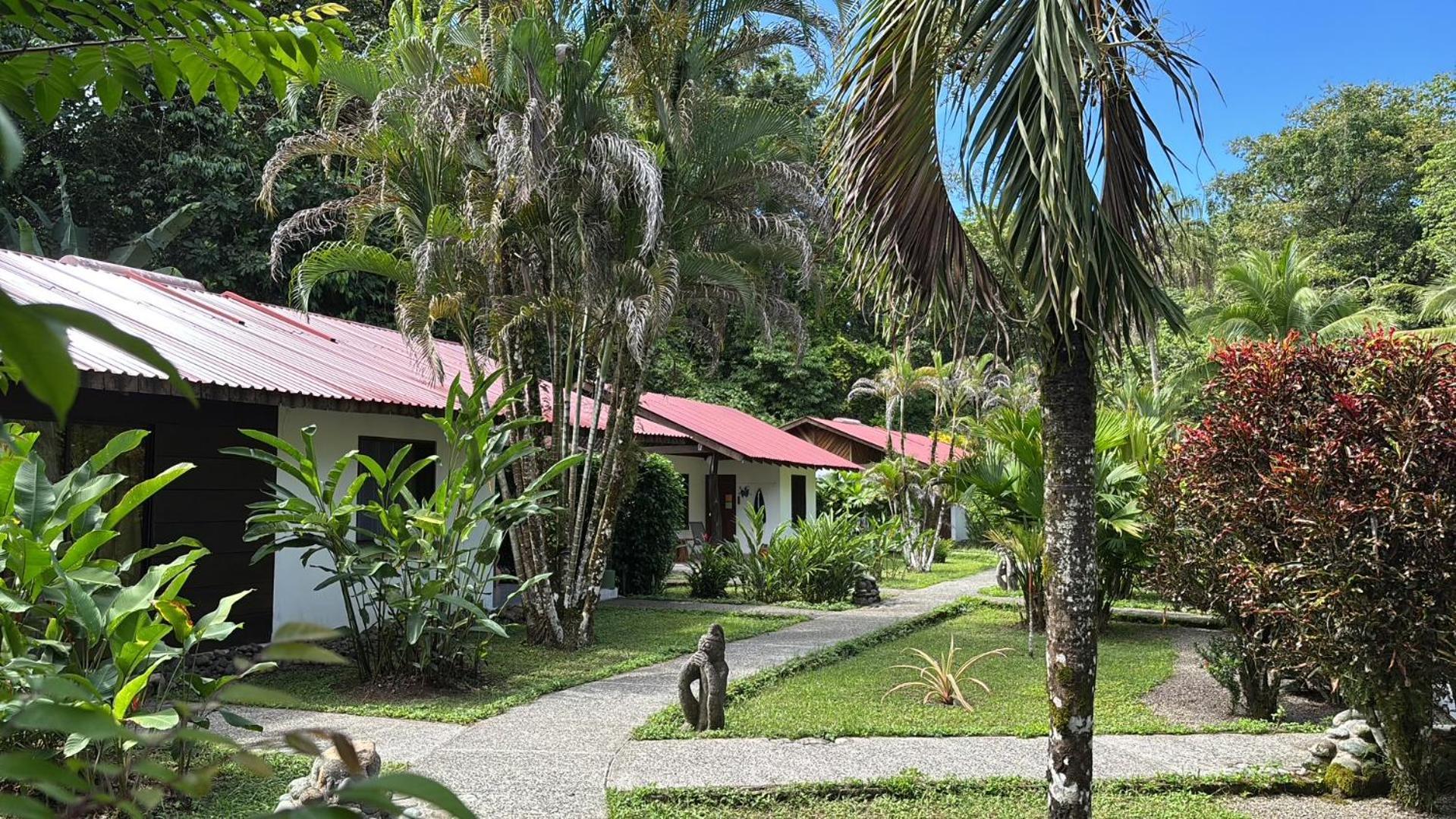 Hotel Suizo Loco Lodge & Resort Cahuita Zewnętrze zdjęcie