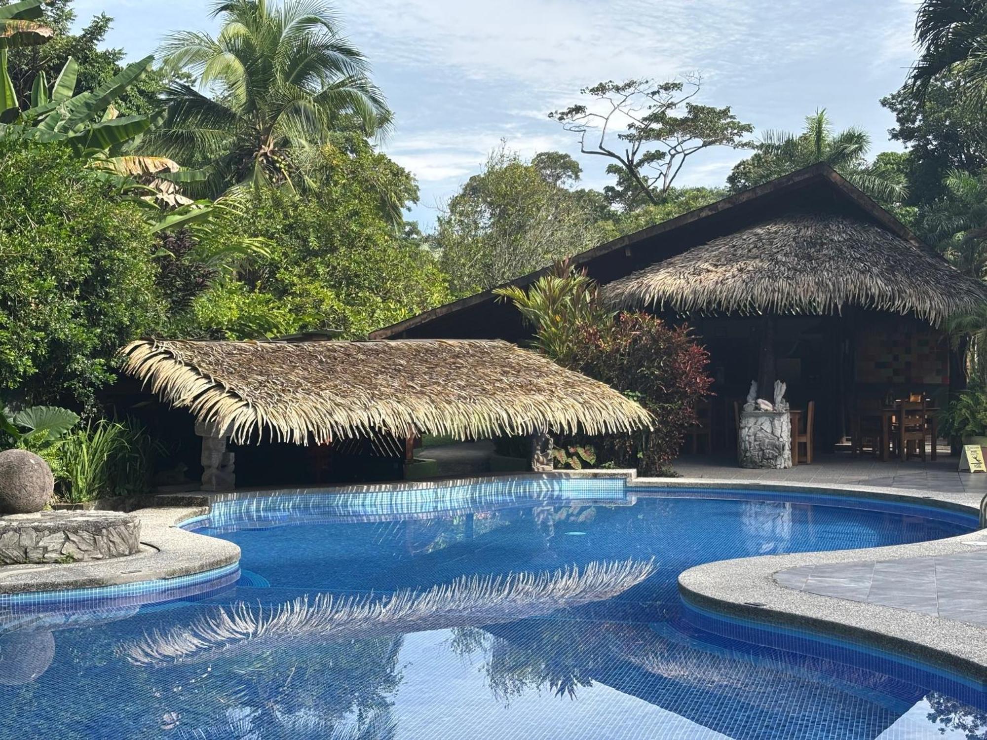 Hotel Suizo Loco Lodge & Resort Cahuita Zewnętrze zdjęcie