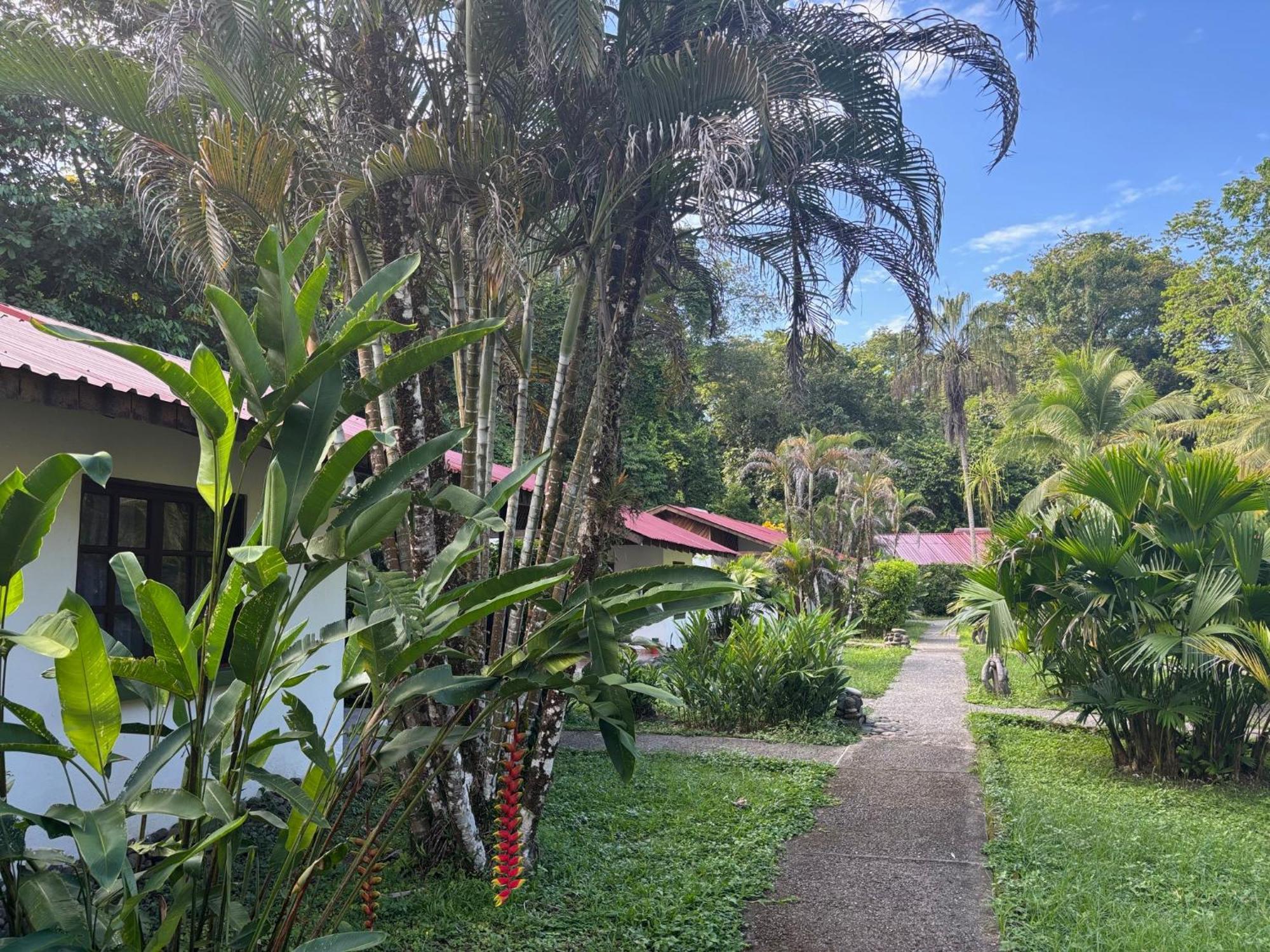 Hotel Suizo Loco Lodge & Resort Cahuita Zewnętrze zdjęcie