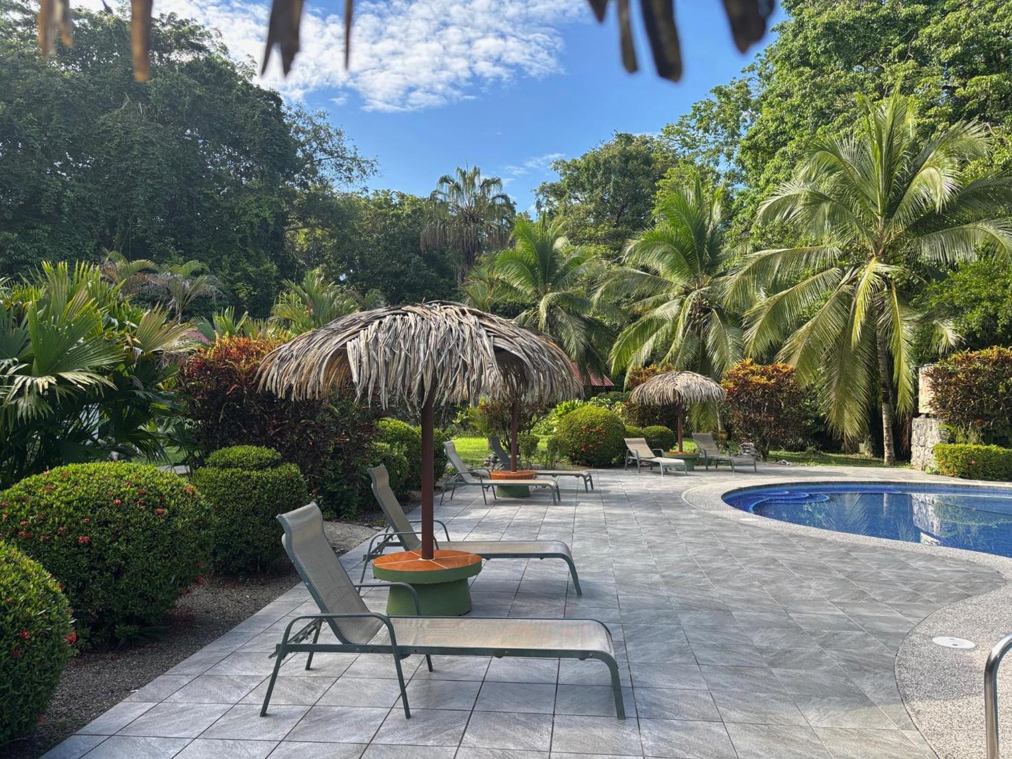 Hotel Suizo Loco Lodge & Resort Cahuita Zewnętrze zdjęcie