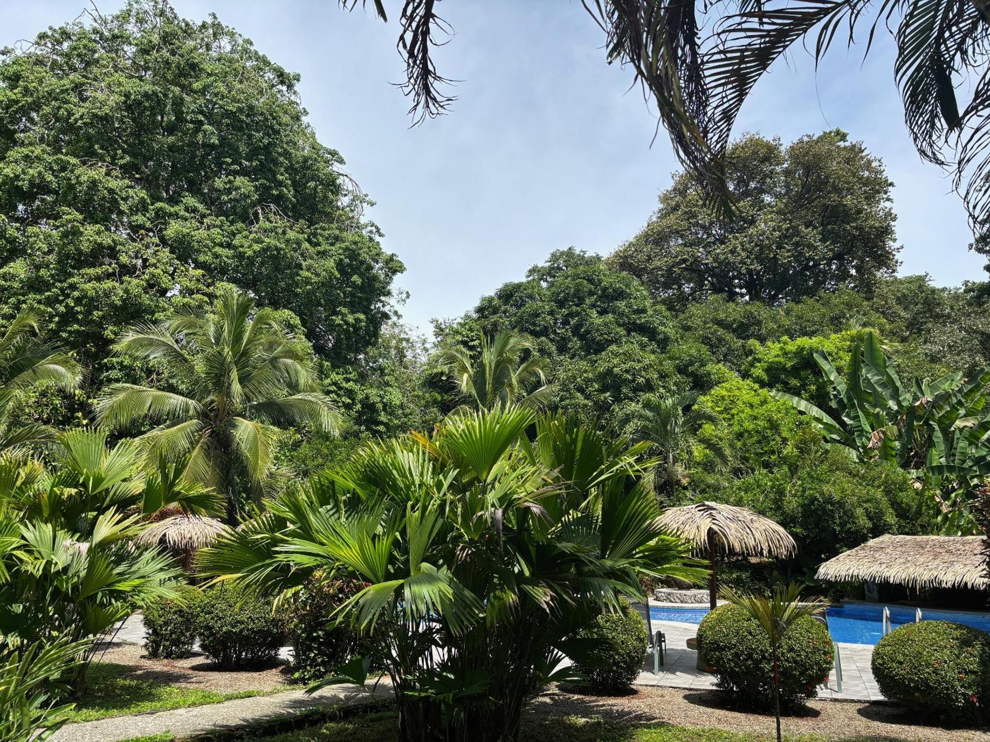 Hotel Suizo Loco Lodge & Resort Cahuita Zewnętrze zdjęcie