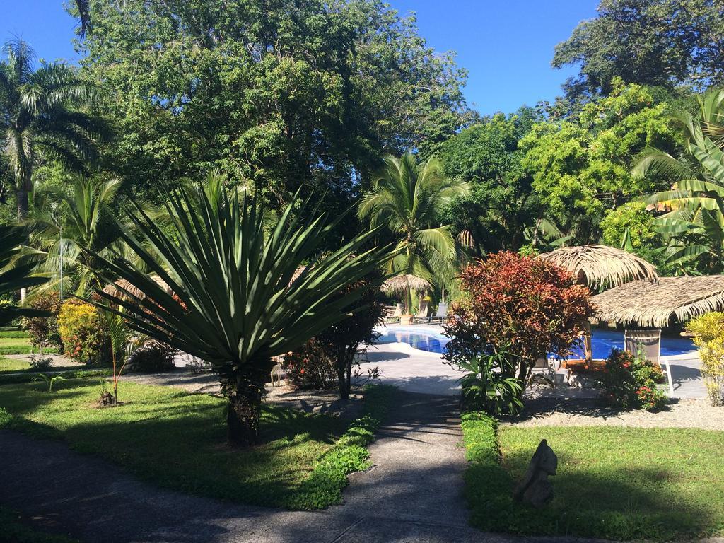 Hotel Suizo Loco Lodge & Resort Cahuita Pokój zdjęcie